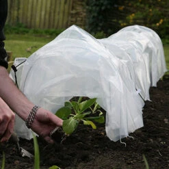 Tunnel Cloche 21 Tunnel Cloche -GreenHaven Shop tc5 1