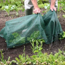 Tunnel Cloche 23 Tunnel Cloche -GreenHaven Shop tc7 1