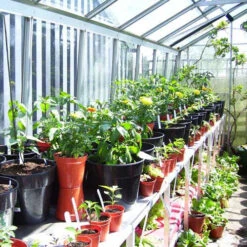 Two Tier Standard Up Staging 18 Two Tier Standard Up Staging -GreenHaven Shop usstt3