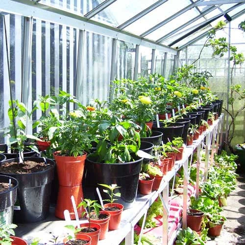 Two Tier Standard Up Staging 6 Two Tier Standard Up Staging - Image 4