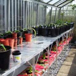 Two Tier Standard Up Staging 19 Two Tier Standard Up Staging -GreenHaven Shop usstt6