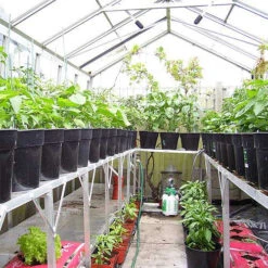 Two Tier Standard Up Staging 21 Two Tier Standard Up Staging -GreenHaven Shop usstt8